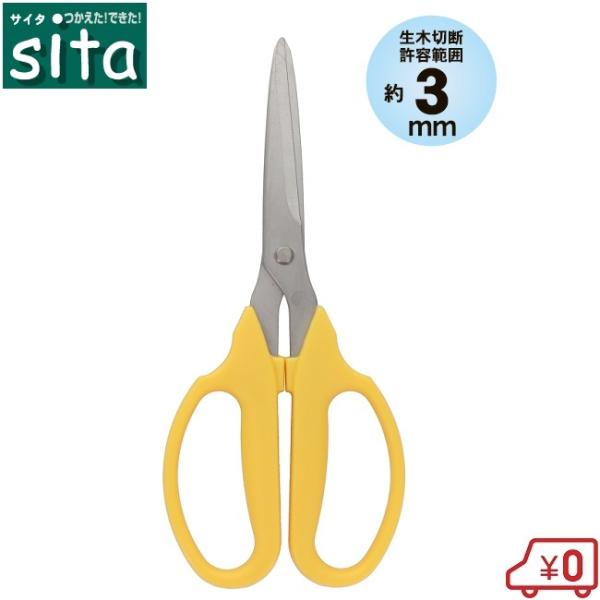 sita ؂΂ ؂  nnT~ ~ ΂ ͂  } A | y тɂ  K[fjO A008