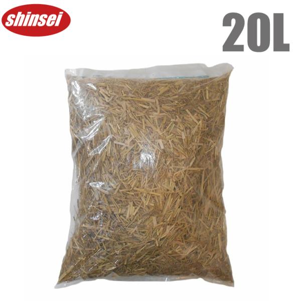 ssnet_shinsei-420039