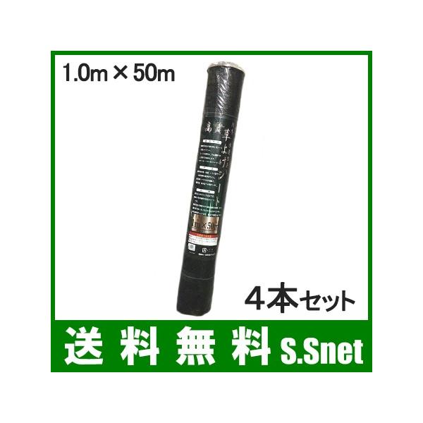  hV[g 1m×50m 4{Zbg 200m  V[g Gh~V[g 悯V[g V[g G΍ _Ǝ