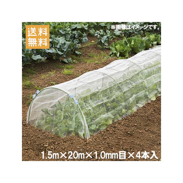 hlbg 1mm 1.5×20m 4{Zbg 80m _Ɨplbg Ռlbg hV[g gl v^[ _Ǝ