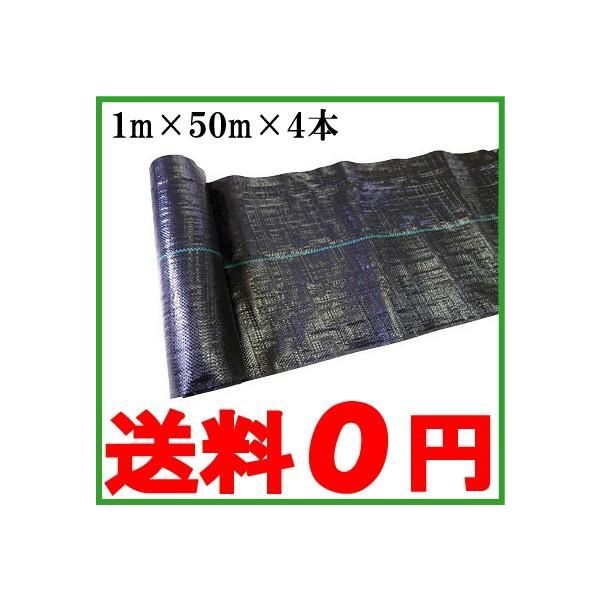 hV[g 1m×50m×4{ 200m V[g Gh~V[g 悯V[g V[g G΍ _Ǝ 