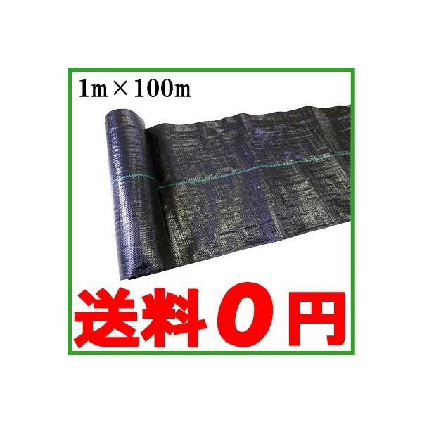 hV[g 1m×100m×2{Zbg 200m 悯V[g V[g Gh~V[g V[g G΍ _Ɨpi R 