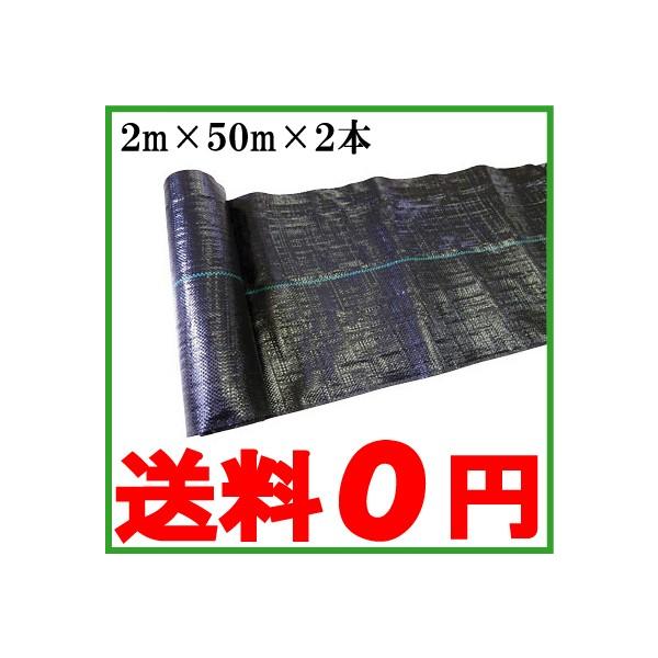 hV[g 2m×50m×2{  100m 悯V[g V[g Gh~V[g V[g G΍ _Ɨpi R 