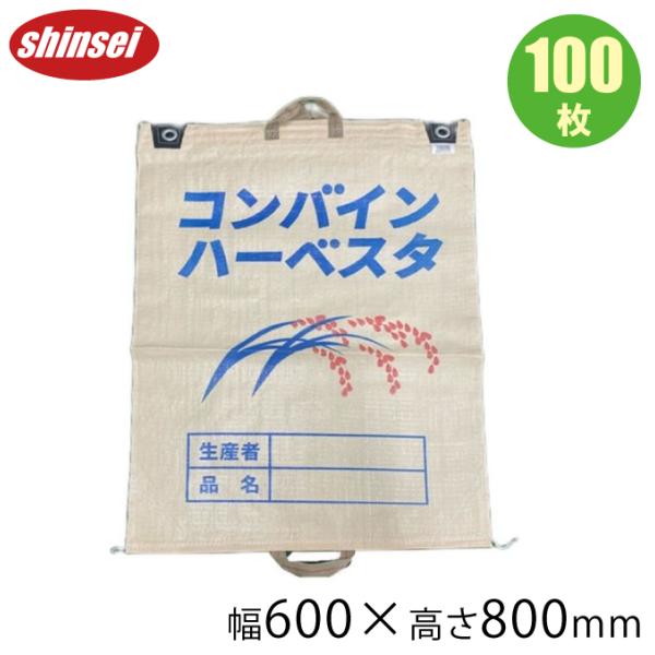 リアボーテ　健美草　未開封　2袋セット FieldSAHARA Z2500 封筒型 2色 限界使用可能温度 -25℃ （ZEN25