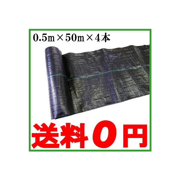 hV[g 0.5m×50m×4{ 悯V[g 200m Gh~V[g V[g G΍V[g G΍ _Ɨp _Ɨpi R