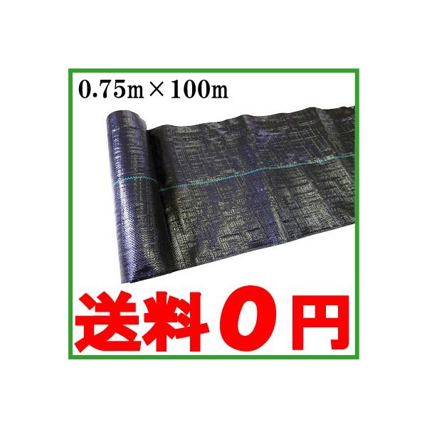 hV[g 0.75m×100m 悯V[g Gh~V[g V[g G΍V[g G΍ _Ɨp _Ɨpi R