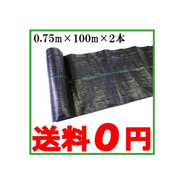 hV[g 0.75m×100m×2{ 悯V[g 200m Gh~V[g V[g G΍V[g G΍ _Ɨp _Ɨpi R