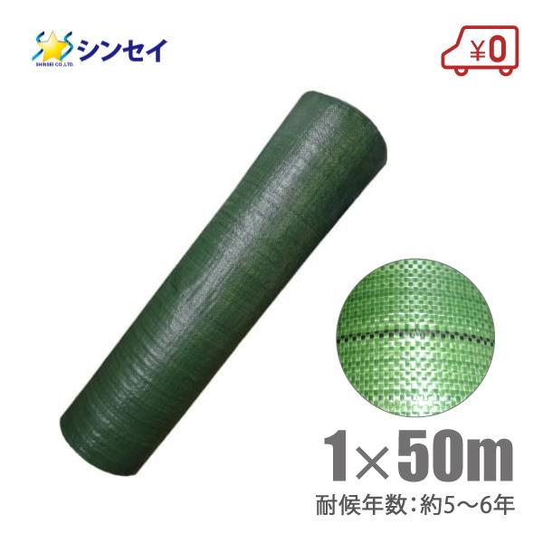  hV[g 1m×50m ϔN4`6N  GV[g V[g Gh~V[g G΍ }V[g _ƃV[g