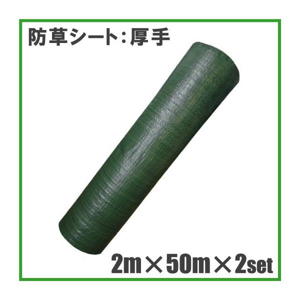  hV[g 2m×50m 2Zbg 100m _Ǝ GV[g Gh~V[g _ƃV[g G΍