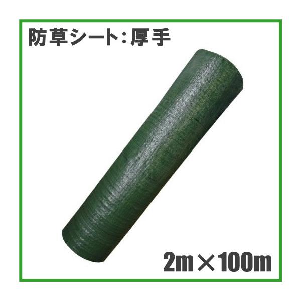  hV[g 2m×100m _Ǝ Gh~V[g GV[g _ƃV[gG΍