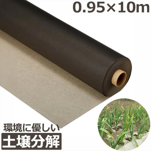 ssnet_shinsei-4582572-514094