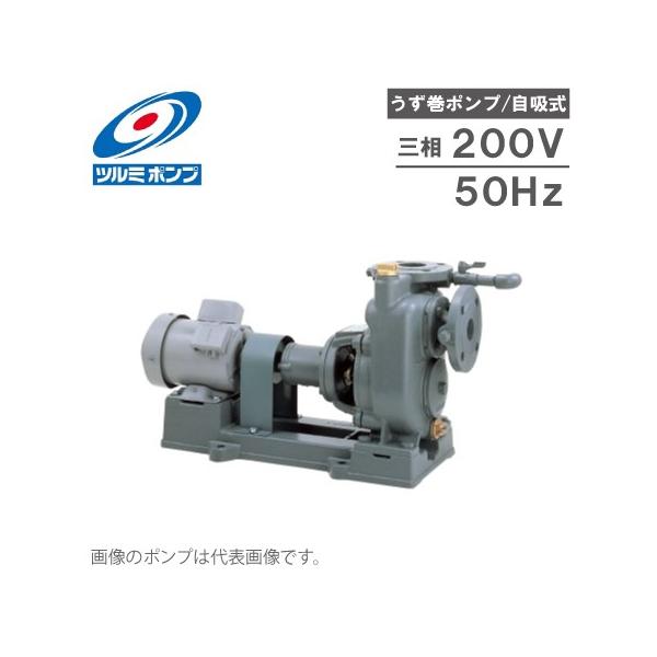 �c���~�|���v ���z�� �������|���v TCP2-100ME3.7-P 50HZ/200V ���[�^�[�t