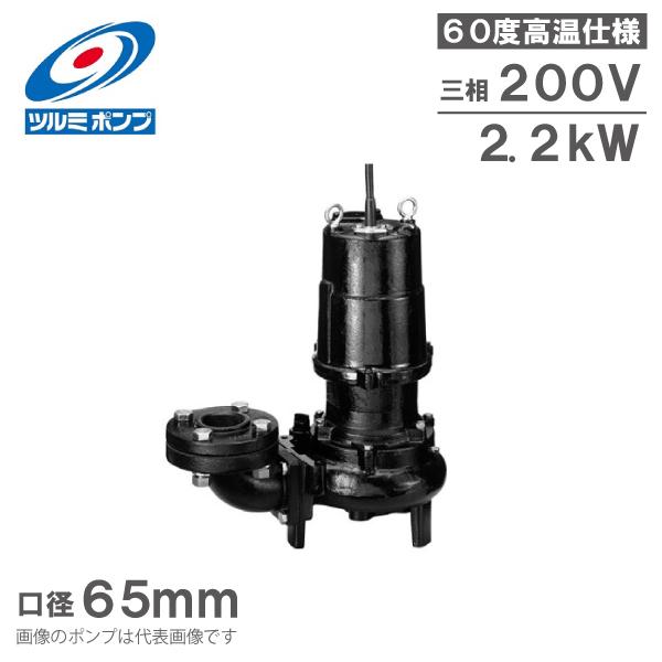 �c���~�|���v �����p �����|���v 65U42.2 60�x�Ή� 65mm 2.2kW 200V �r���|���v �����|���v �����r�� �����|���v ���� �ߌ����쏊