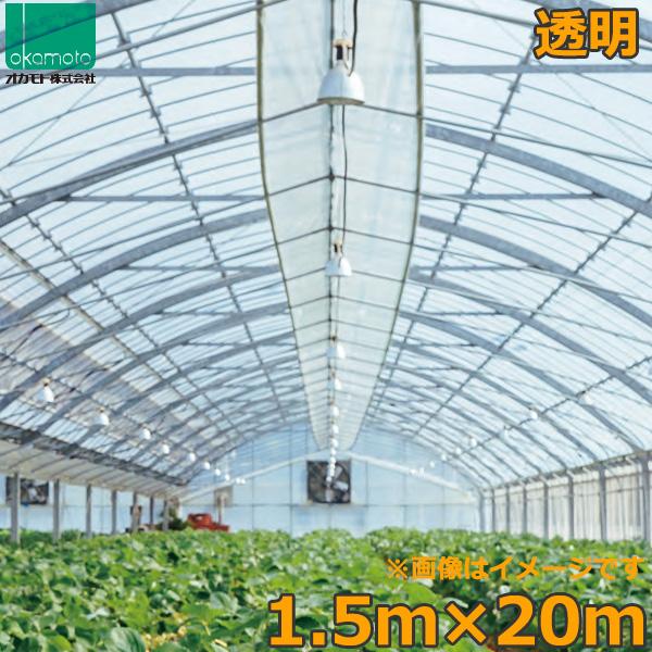ビニールハウス 農ビ 透明 1.5×20m 0.1mm厚 トンネルシート フィルム
