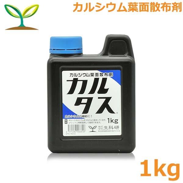 엿 J^X 1kg JVE엿 ⋋ t̔엿 t tʎUz RǏ \h Ȍ