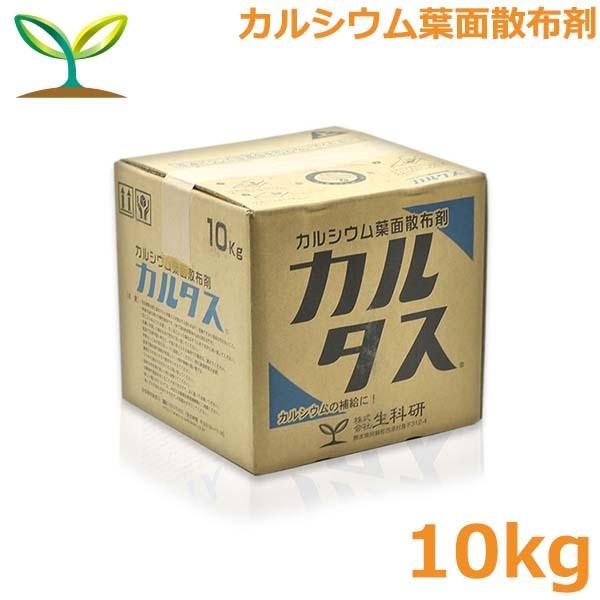 엿 J^X 10kg JVE엿 ⋋ t t̔엿 tʎUz RǏ \h Ȍ