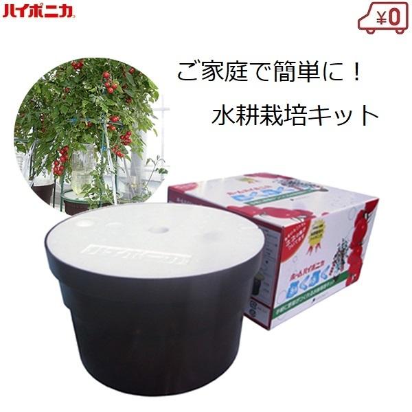 水耕栽培キット 家庭用 家庭菜園 水耕栽培 セット 室内 屋内 ミニトマト ホームハイポニカぷくぷく ハイポニカ Verde 1295 S S Net 通販 Yahoo ショッピング