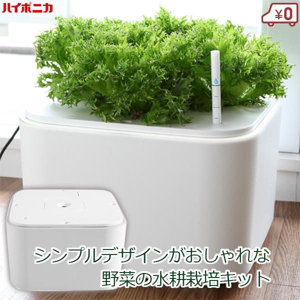 水耕栽培キット 家庭用 家庭菜園 水耕栽培 セット 室内 屋内 水耕栽培キット 家庭用 家庭菜園 水耕栽培 セット 室内 屋内