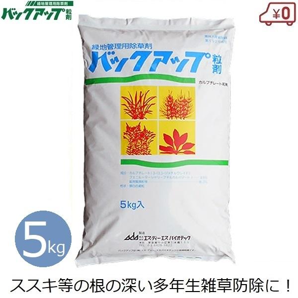 【大容量！！】セイタカアワダチソウ　乾燥　1kg パック個包装 セイタカアワダチソウ 乾燥 1kg 大容量 100g×10袋 バスタイム