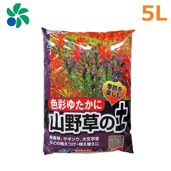 サギソウの通販 価格比較 価格 Com