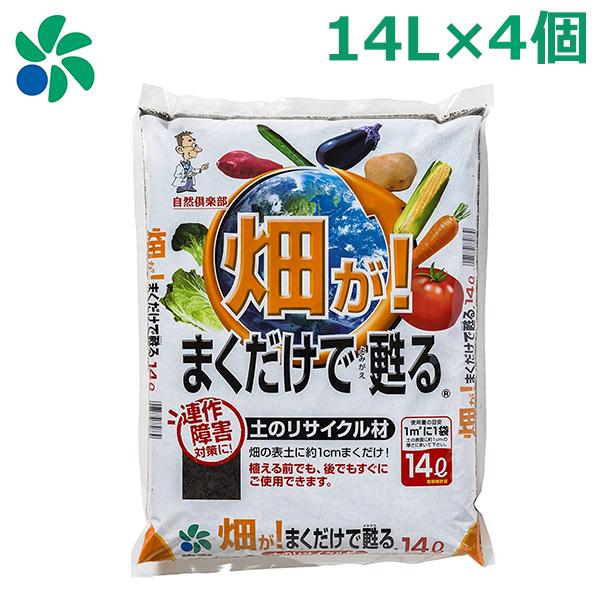 yǍ ͔ ؉ p 14L×4Zbg ܂S  K[fjO RpȊw