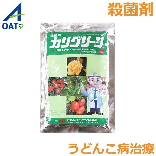 殺菌剤 カリグリーン 250g うどんこ病 カビ病 野菜 麦類 トマト 農薬 薬剤 Oatアグリオ Verde S S Net 通販 Yahoo ショッピング