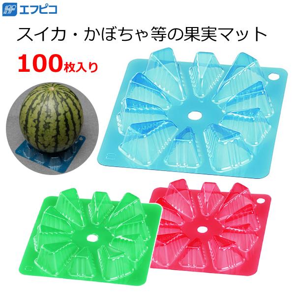 野菜園芸大百科　メロン・スイカ・カボチャ 4・5巻 野菜園芸大百科 5 スイカ・カボチャ 野菜園芸大百科 メロン・スイカ