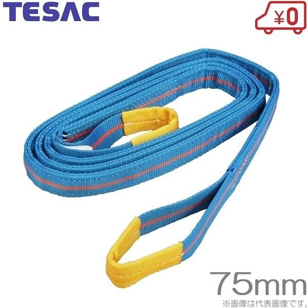 テザックブルースリング 3mx2本 TESAC ブルースリング 75mm×3m(荷重3.2t) JIS4等級 両端アイ