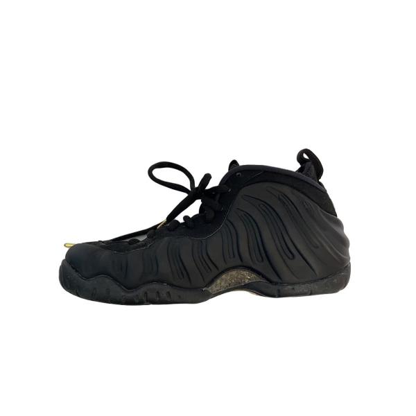 NIKE◆AIR FOAMPOSITE PRO/エアフォームポジットプロ/ブラック/624041-009/27cm/BLK//