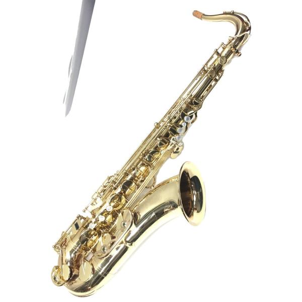 H.SELMER◇【動作確認済】SA80/SERIE2 GL W/E/彫刻有/セルマー/テナー