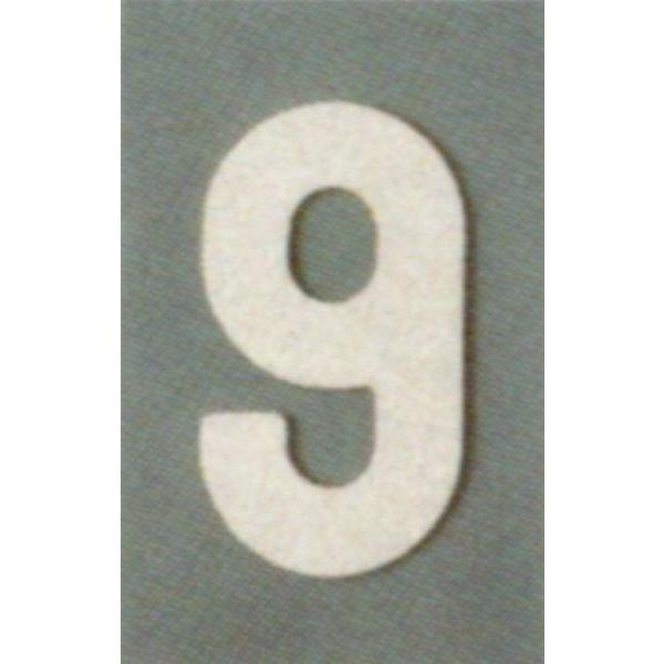 AgnEXyCg@HʕWށ@tATC@io[ij@9