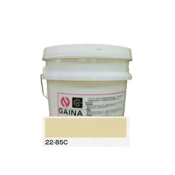 エコフラット 22-85C 塗料