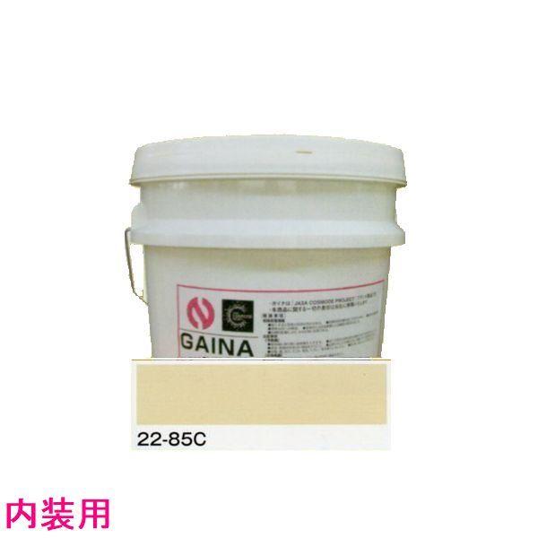 ���i�Y�Ɓ@�f�M�h���@�K�C�i�iGAINA�j��L�i�����p�j�F�F22-85C�@7kg