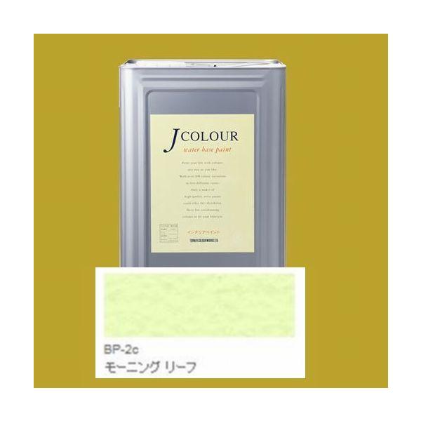 ^[i[Fʁ@₯h@JJ[  BrightV[Y PALE@FFBP-2c [jO [t 15LilʃTCYj