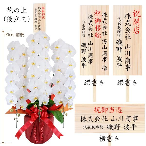 胡蝶蘭 ギフト 就任祝い 胡蝶蘭 開店 お祝い 当選祝い 大輪 3本立ち 産地直送 特aクラス 送料無料 木札無料 白 赤リップ ピンク 45輪以上 Buyee Buyee Japanese Proxy Service Buy From Japan Bot Online