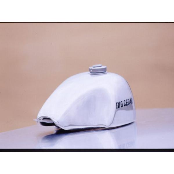 st-ride_154312-561956