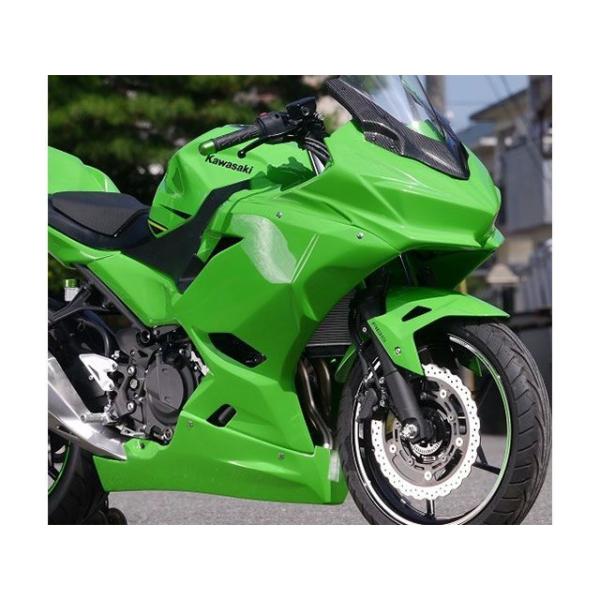 Saitaniya Factory Ninja250 外装セット フルカウル/レース 仕様