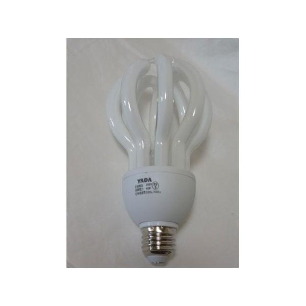 SAKAKEN 日用品 矢田 カボチャ型蛍光灯 40W 替球 坂謙 : パークアップ