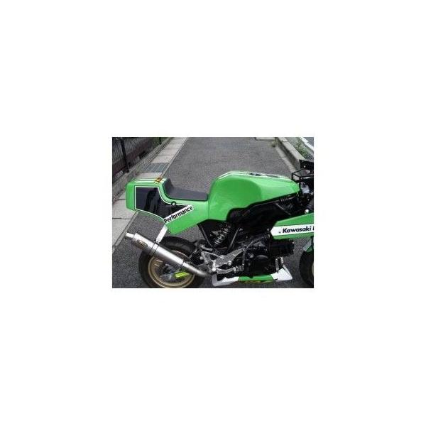 PLEASURE KSR110 Ninja250R タンク関連パーツ KR110 ENDURANCE タンク