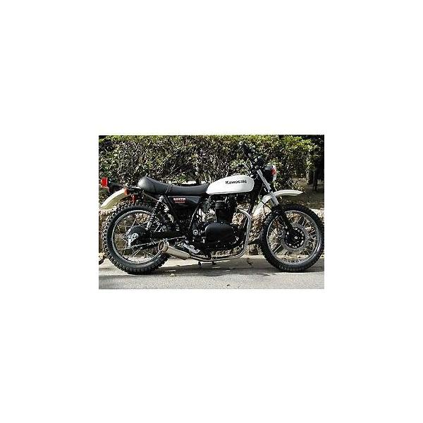 WirusWin（ウイルズウィン） WirusWin 250TR マフラー本体 250TR