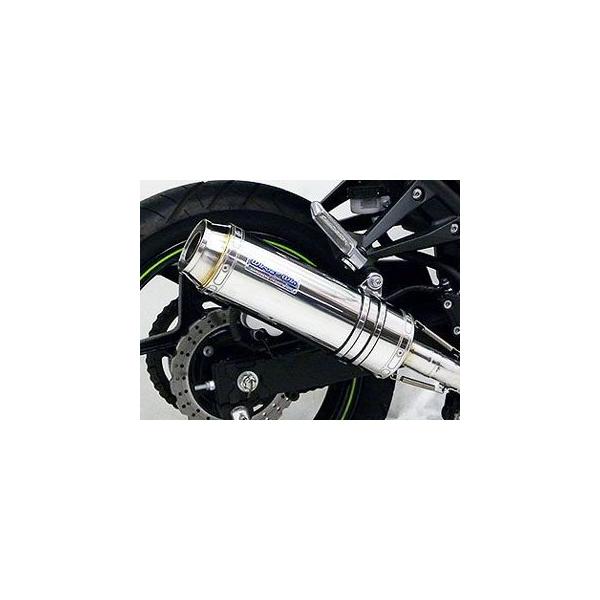 WirusWin（ウイルズウィン） WirusWin Ninja250R マフラー本体