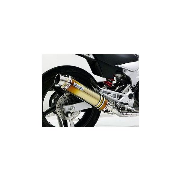 みる WirusWin（ウイルズウィン） WirusWin VTR マフラー本体 VTR（JBK-MC33