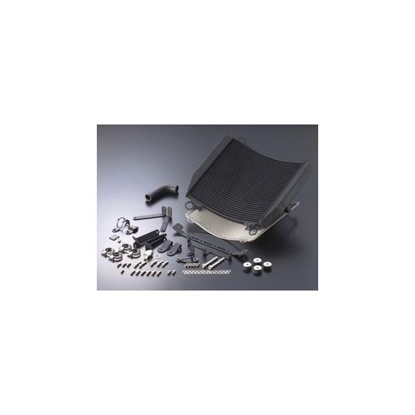 アクティブピープル ACTIVE ZRX1100 ZRX1200R ラジエター ビッグ