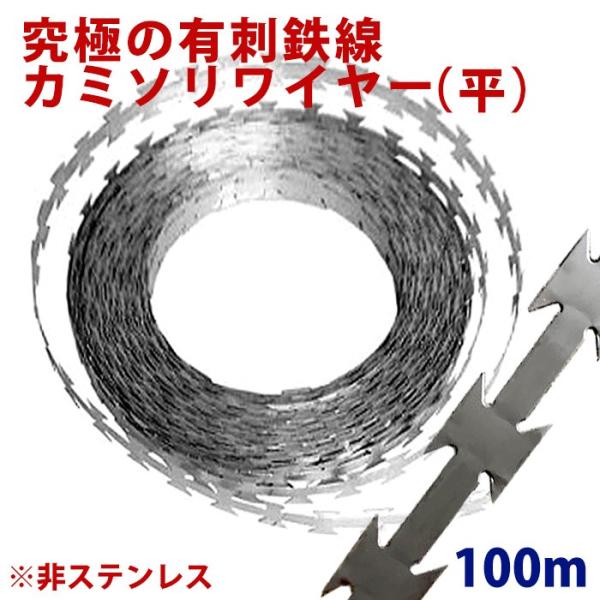 LhS J~\C[  100m  S bL hƑ΍ Nh~