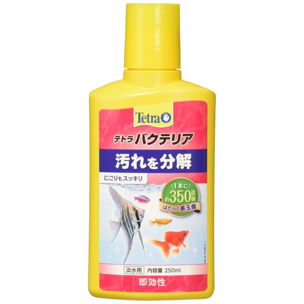 【商品概要】水槽内の汚れを強力に分解するバクテリアを高濃度で配合!浄化サイクルを早めて水槽内の汚れを分解、除去します汚れを分解することでクリアな水をつくり、キレイな状態を維持しますテトラバクテリアには、エサの食べ残しやお魚のフン、水草の枯葉...