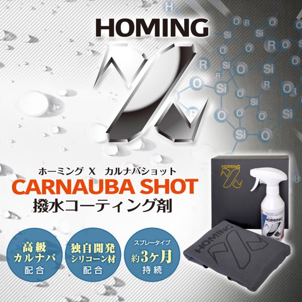 stakeholder_st08191_3_d_20240416184331