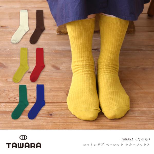TAWARA（たわら） コットン リブ ベーシック クルーソックス 1P  靴下 レディース おしゃれ かわいい コットン シンプル 秋 冬