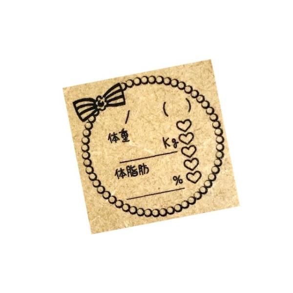 ダイエットスタンプ　手帳・日記・体調管理・ダイエット　body size 記録　ジム　ほぼ日　手帳スタンプ　バレットジャーナル　自作手帳