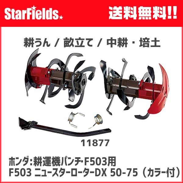 z_k^@p` F503p@F503 j[X^[[^[DX 50-75iJ[tj@(11877)