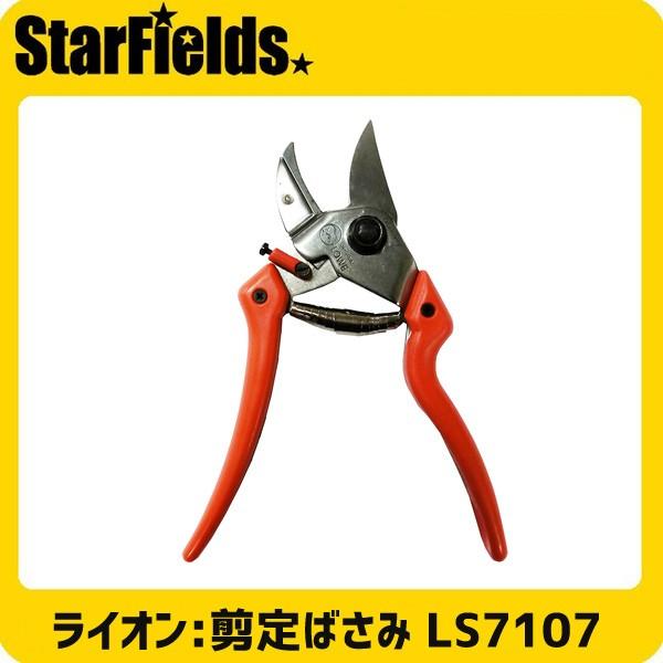 LOWE CI  Ar LS7107 MTCY ΂